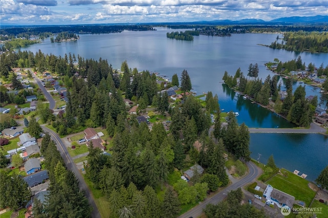 19506 56th St E, Bonney Lake, WA 98391