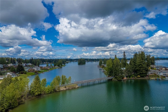 19506 56th St E, Bonney Lake, WA 98391
