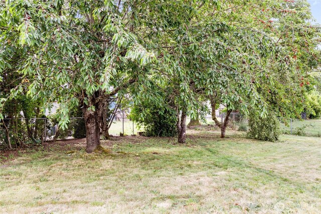 12119 SE 317th Pl, Auburn, WA 98092 - photo 22