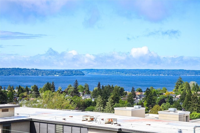 4515 44th Ave SW Unit A, Seattle, WA 98116 - water view
