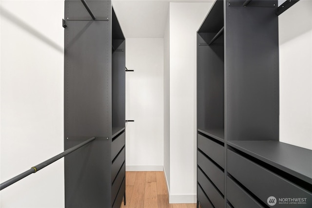 4515 44th Ave SW Unit A, Seattle, WA 98116 - spacious closet with light wood-type flooring
