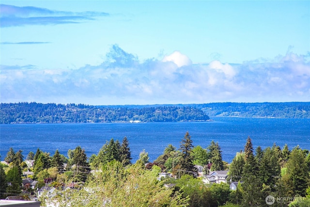 4515 44th Ave SW Unit A, Seattle, WA 98116 - water view