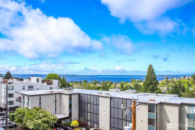 4515 44th Ave SW Unit A, Seattle, WA 98116 - water view