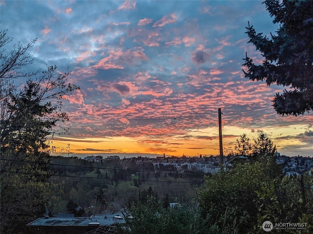 4742 22nd Ave SW, Seattle, WA 98106 - view of nature at dusk