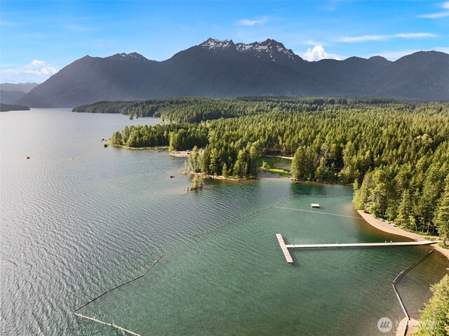 111 N Skokomish Dr, Hoodsport, WA 98548 - photo 22
