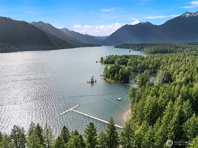 111 N Skokomish Dr, Hoodsport, WA 98548 - photo 24