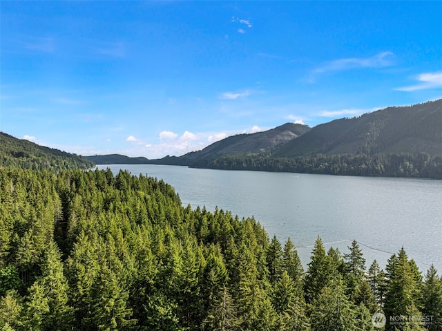 111 N Skokomish Dr, Hoodsport, WA 98548 - photo 25