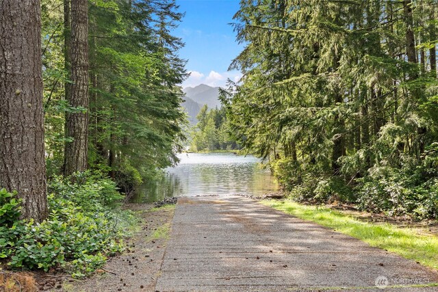 111 N Skokomish Dr, Hoodsport, WA 98548 - photo 26