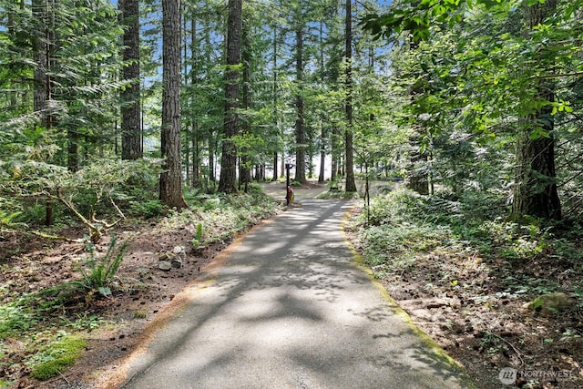 111 N Skokomish Dr, Hoodsport, WA 98548 - photo 32