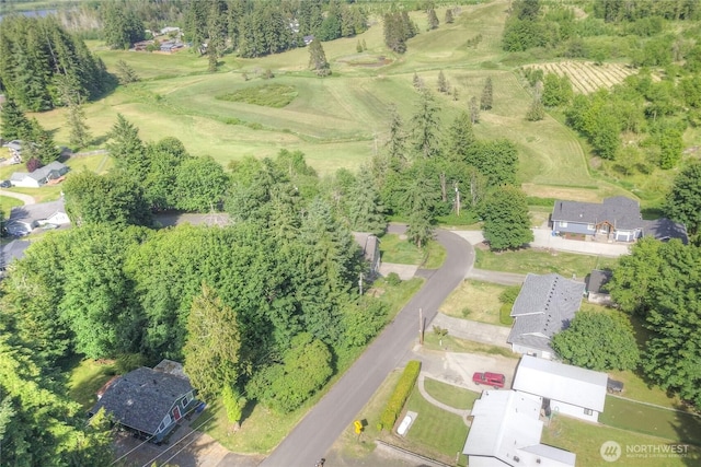 2539 123rd Ave SW, Olympia, WA 98512 - aerial view