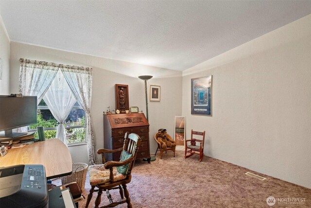 112 Kahout Rd, Curtis, WA 98538 - photo 23