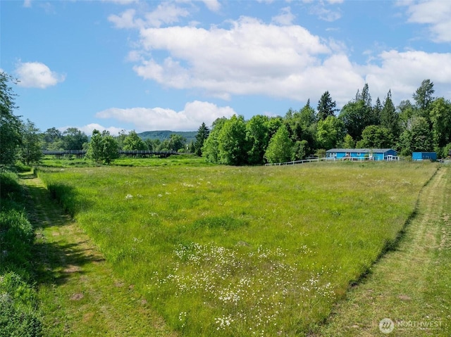 112 Kahout Rd, Curtis, WA 98538 - photo 30