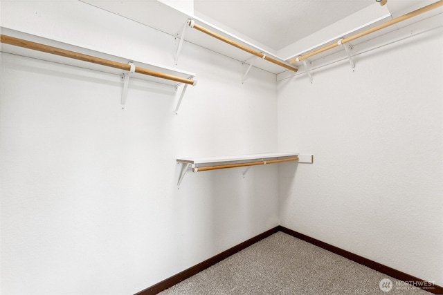 931 Oyster Bay Ct, Bremerton, WA 98312 - walk in closet with carpet