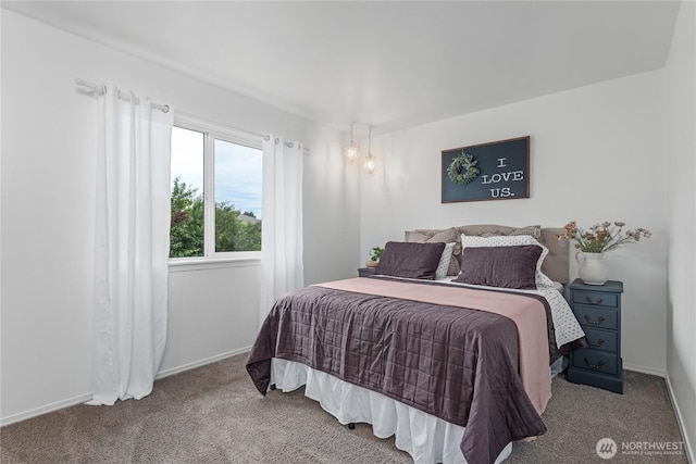 1906 Lion Pl, Wenatchee, WA 98801 - bedroom featuring carpet floors and baseboards