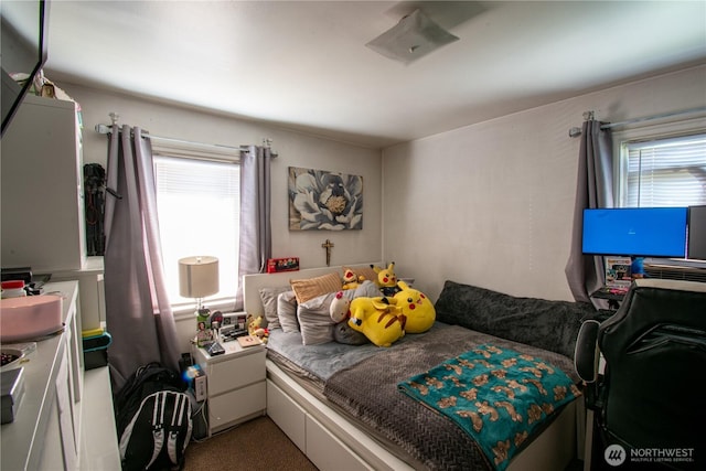 10041 15th Ave SW, Seattle, WA 98146 - photo 12