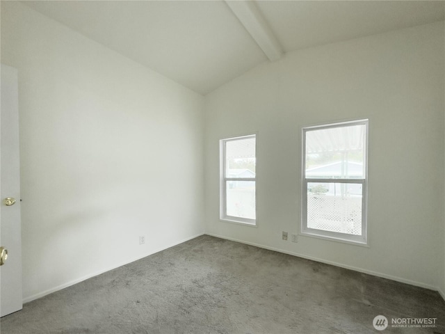 514 105th Street Ct E, Tacoma, WA 98445 - photo 11