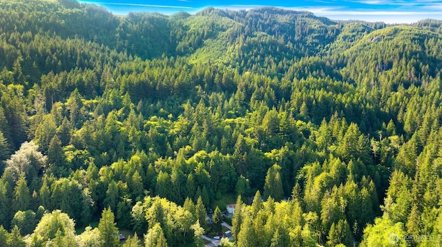 649 Summit Pl, Sedro Woolley, WA 98284 - drone / aerial view of a forest