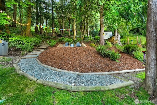 649 Summit Pl, Sedro Woolley, WA 98284 - view of yard