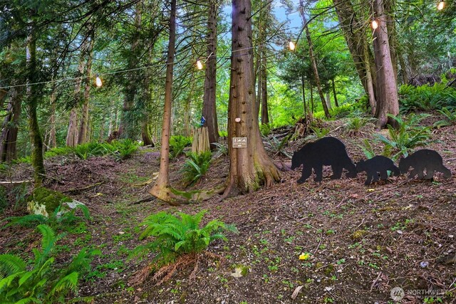 649 Summit Pl, Sedro Woolley, WA 98284 - view of undeveloped land