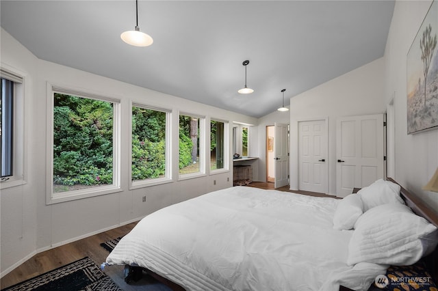 2711 Grampin Ct SE, Olympia, WA 98501 - bedroom featuring vaulted ceiling, dark wood-type flooring, and baseboards
