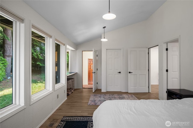 2711 Grampin Ct SE, Olympia, WA 98501 - bedroom featuring lofted ceiling, multiple windows, wood finished floors, and baseboards