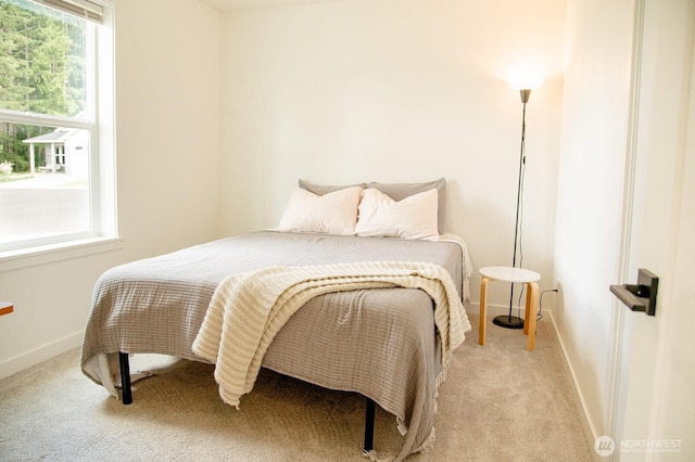 1022 Peach Rd, Winlock, WA 98596 - bedroom featuring carpet floors and baseboards