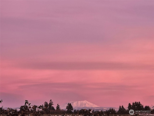 1022 Peach Rd, Winlock, WA 98596 - nature at dusk featuring a mountain view