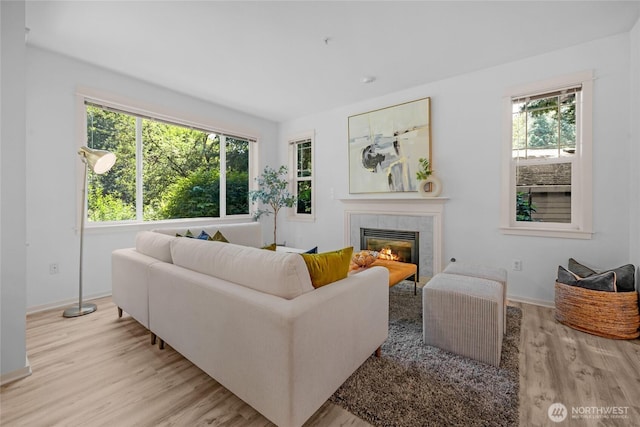 2009 196th St SE Unit G104, Bothell, WA 98012 - living room featuring wood finished floors, a fireplace, and baseboards