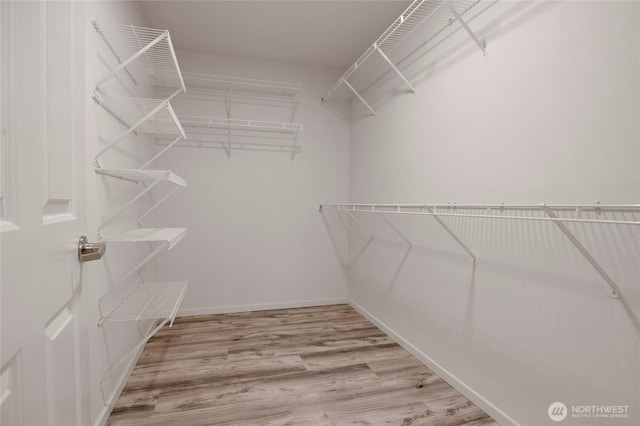 2009 196th St SE Unit G104, Bothell, WA 98012 - walk in closet with wood finished floors