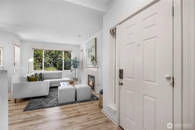 2009 196th St SE Unit G104, Bothell, WA 98012 - living room featuring light wood-type flooring and a glass covered fireplace