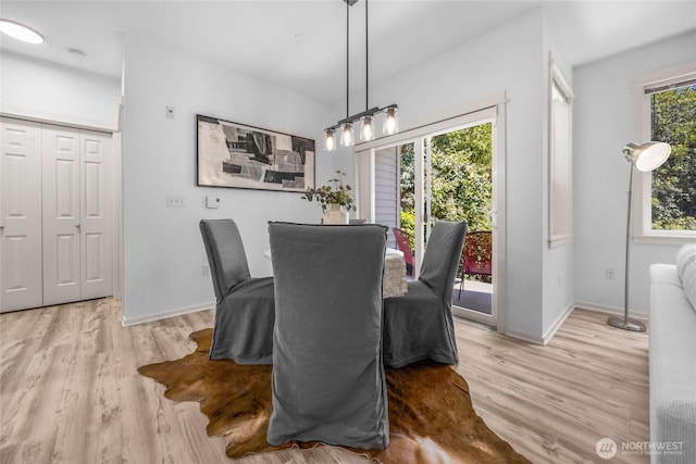 2009 196th St SE Unit G104, Bothell, WA 98012 - dining space featuring wood finished floors and baseboards