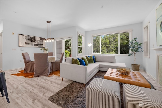 2009 196th St SE Unit G104, Bothell, WA 98012 - living room featuring healthy amount of natural light and wood finished floors