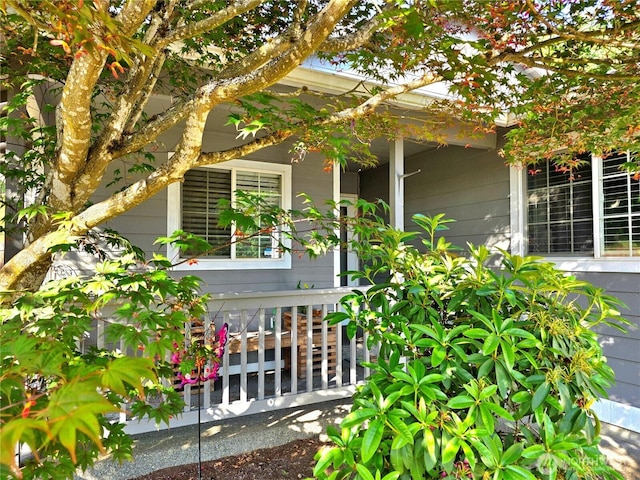 19523 71st Ave E, Spanaway, WA 98387 - view of side of property