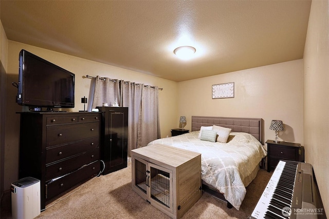 19523 71st Ave E, Spanaway, WA 98387 - bedroom featuring carpet floors and a textured ceiling