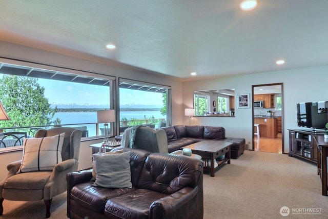 7504 Crescent Beach Rd NW, Vaughn, WA 98394 - photo 12