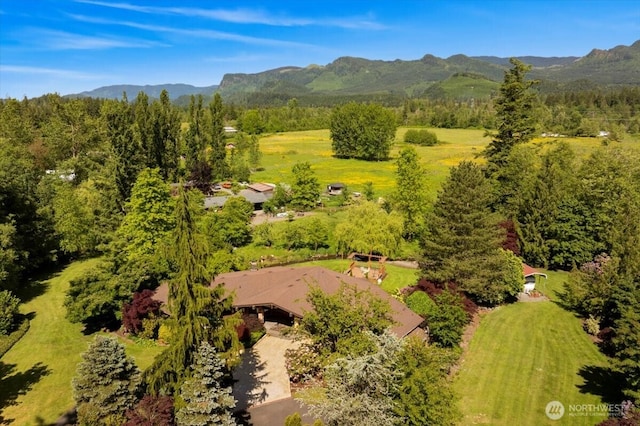 41506 292nd Way SE, Enumclaw, WA 98022 - aerial view of a mountain backdrop
