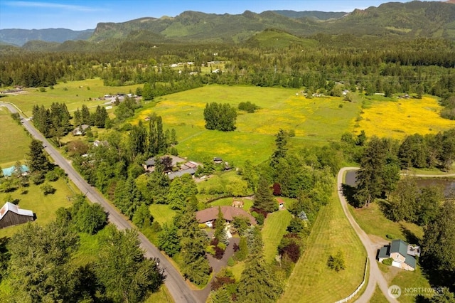 41506 292nd Way SE, Enumclaw, WA 98022 - drone / aerial view of mountains