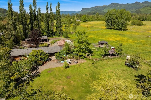 41506 292nd Way SE, Enumclaw, WA 98022 - aerial view of sparsely populated area with a mountain backdrop