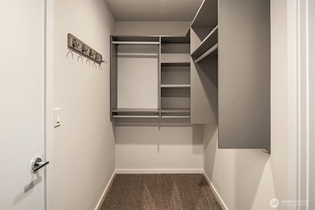 818 25th Ave S Unit A, Seattle, WA 98144 - spacious closet with dark carpet