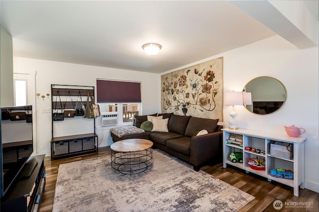 585 Finnegan Rdg, Friday Harbor, WA 98250 - living area featuring dark wood-style floors and cooling unit