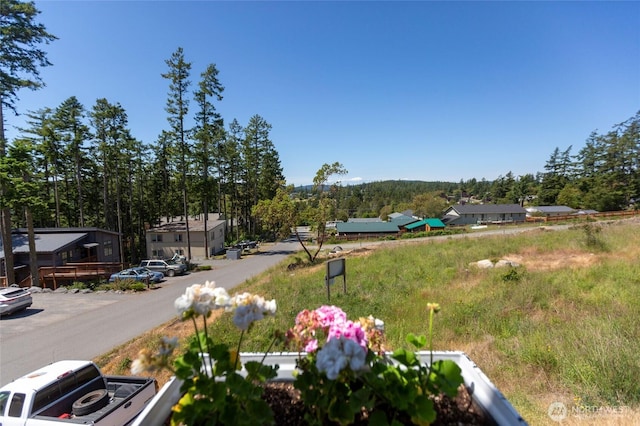 585 Finnegan Rdg, Friday Harbor, WA 98250 - view of balcony