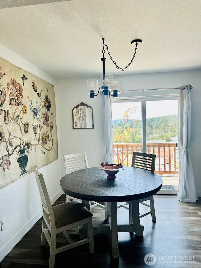 585 Finnegan Rdg, Friday Harbor, WA 98250 - dining area with a chandelier, wood finished floors, and a textured ceiling