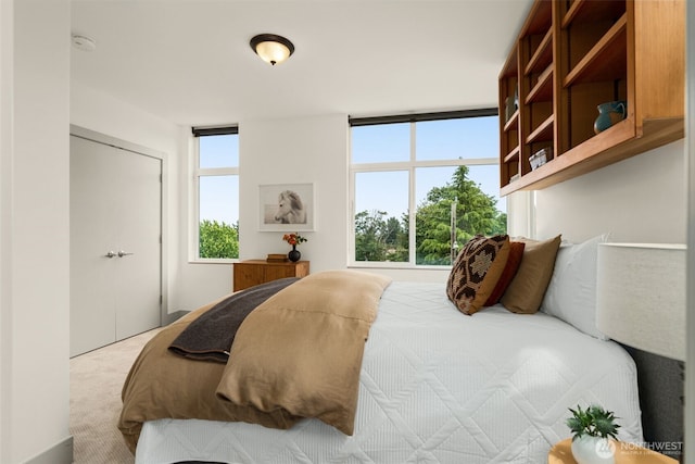 402 W Fulton St, Seattle, WA 98119 - carpeted bedroom with a closet