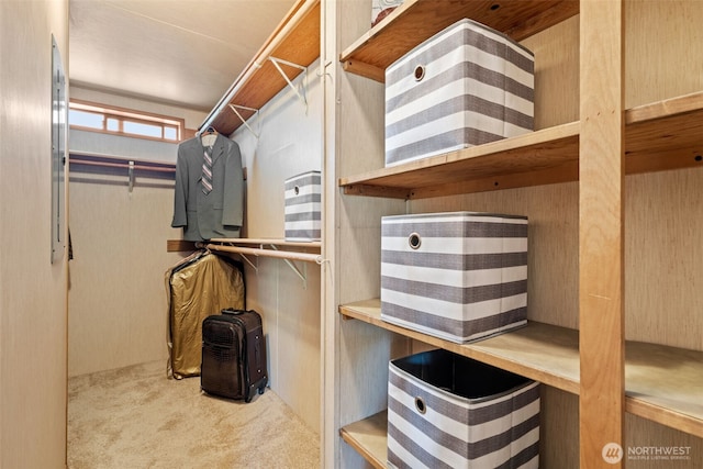 1402 22nd St NE Unit 515, Auburn, WA 98002 - walk in closet featuring carpet floors