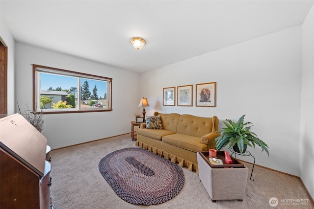1402 22nd St NE Unit 515, Auburn, WA 98002 - carpeted living area featuring baseboards