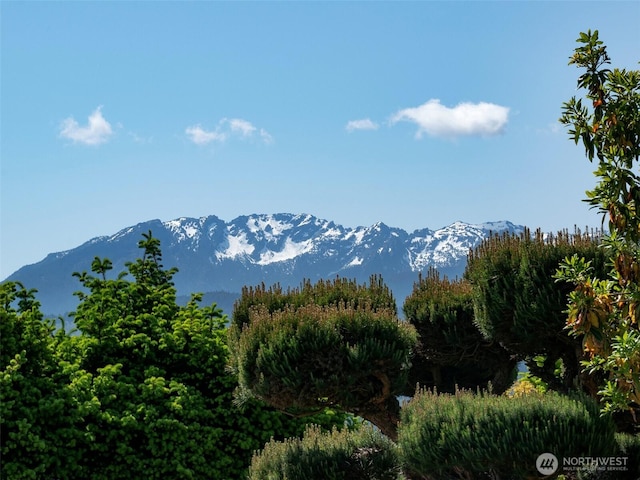1025 W 6th St, Port Angeles, WA 98363 - mountain view