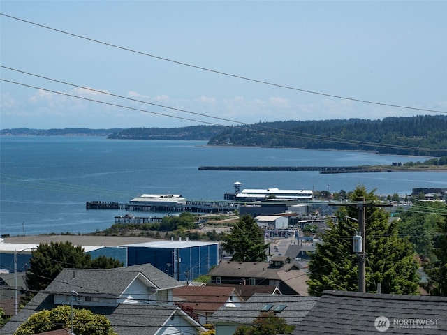 1025 W 6th St, Port Angeles, WA 98363 - water view