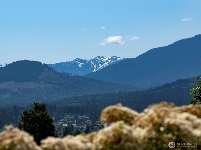 1025 W 6th St, Port Angeles, WA 98363 - view of mountain backdrop with a forest