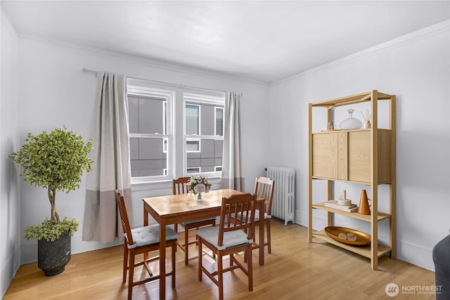 4725 15th Ave NE Unit 37, Seattle, WA 98105 - dining room featuring radiator heating unit, light wood-style flooring, and ornamental molding