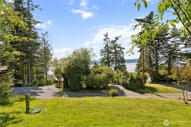 18482 Pull And Be Damned Rd, La Conner, WA 98257 - view of property's community with a yard